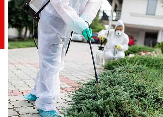 Residential Commercial Pest Control In Adelaide